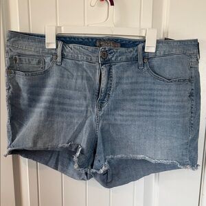 Torrid Medium Wash Denim Shorts